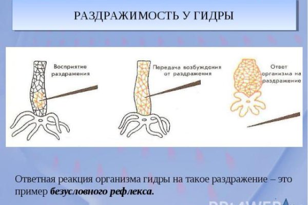 Kraken что это за сайт
