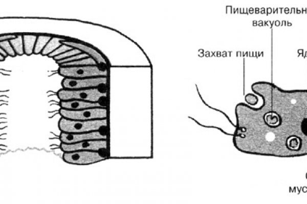 Войти даркнет