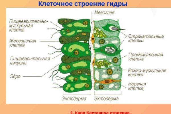 Ссылка на кракен тор kraken2 4aa337