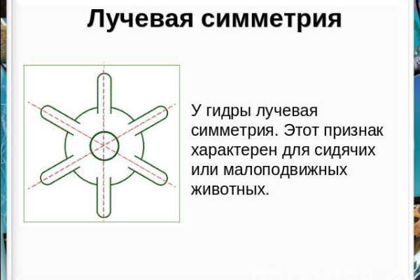 Кракен официальный