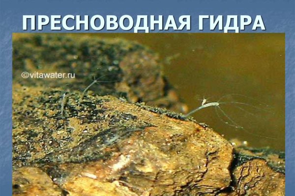 Кракен сайт как зайти