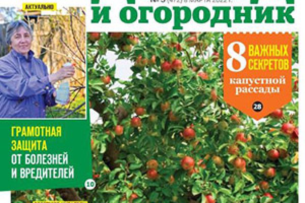 Не могу зайти в аккаунт кракен