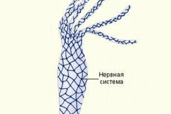 Покупки на кракене даркнет