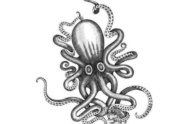 Kraken ссылка kraken torion