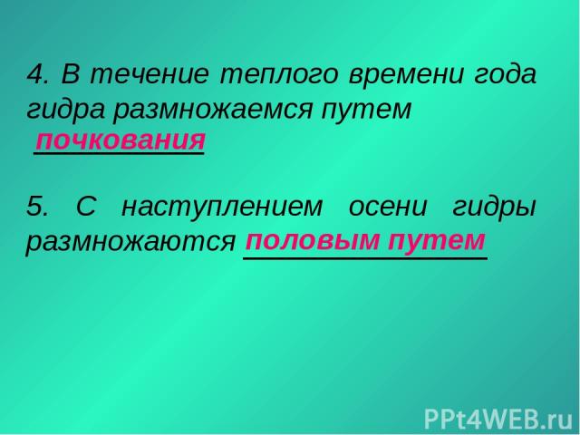 Клир ссылка на кракен 2025
